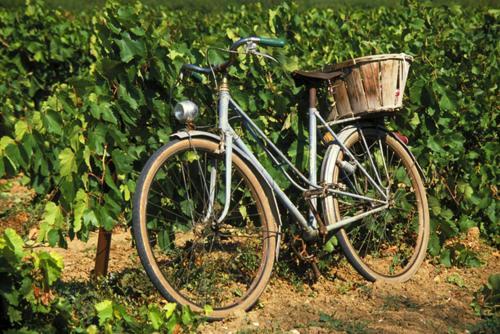 La Maison Grenadine Pres Du Canal Du Midi Tourouzelle 외부 사진
